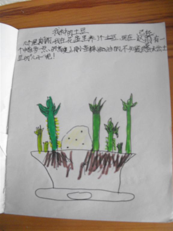 上传的图片