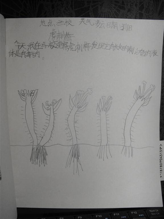 上传的图片
