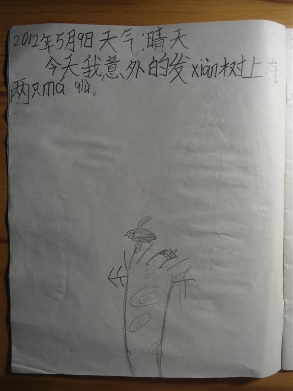 上传的图片