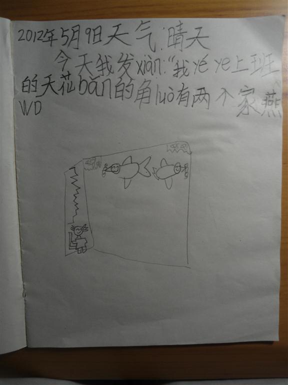上传的图片