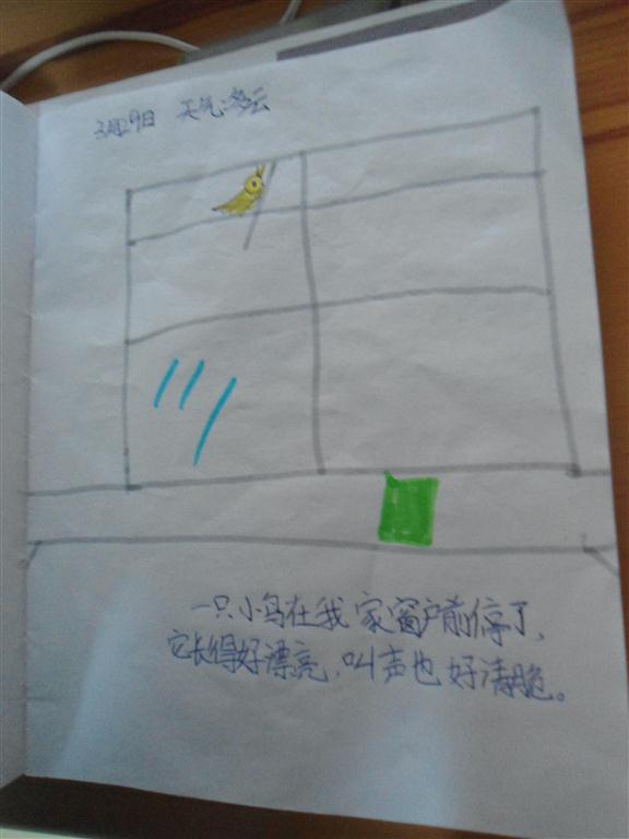 上传的图片