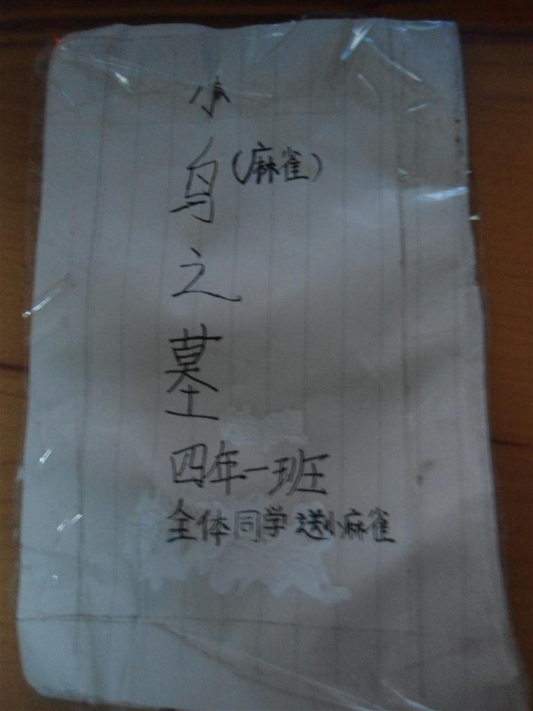 上传的图片