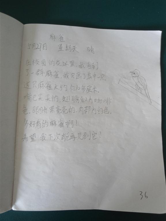 上传的图片