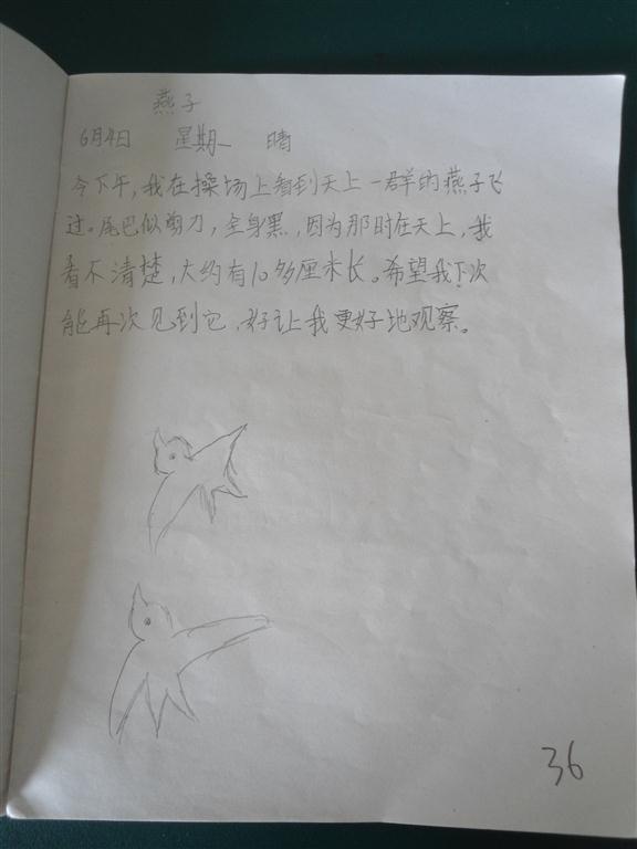上传的图片