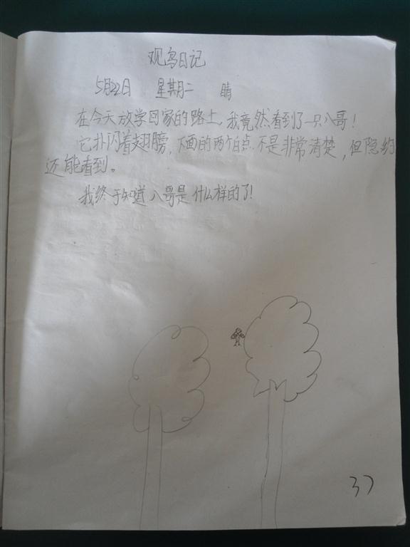 上传的图片