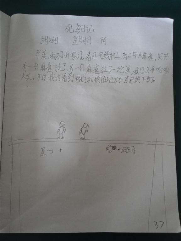 上传的图片