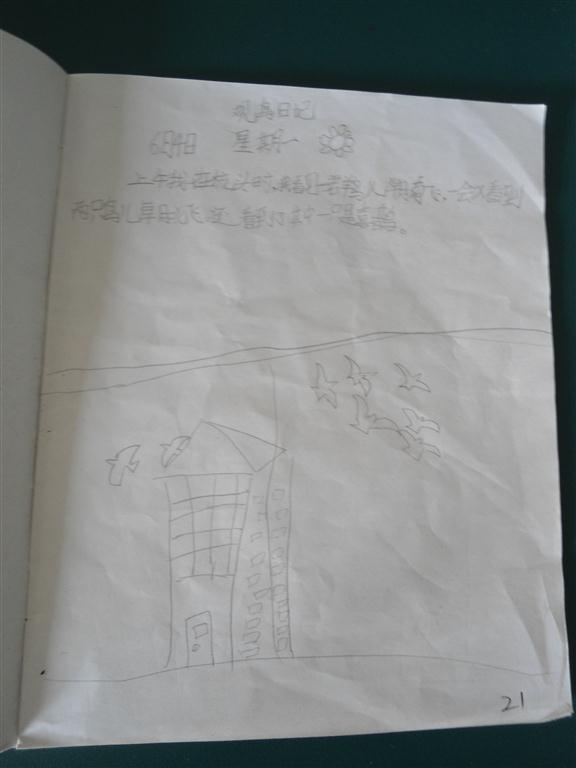 上传的图片
