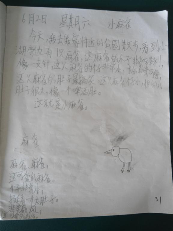 上传的图片