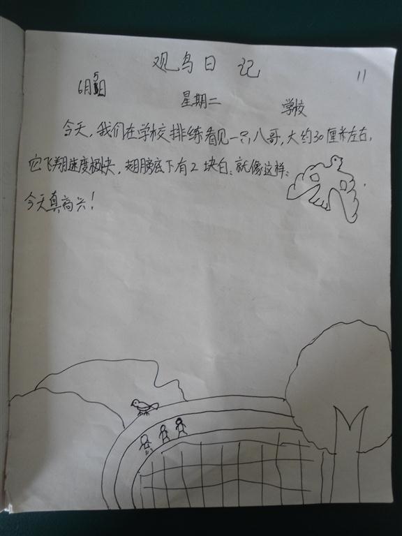 上传的图片
