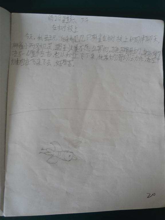 上传的图片