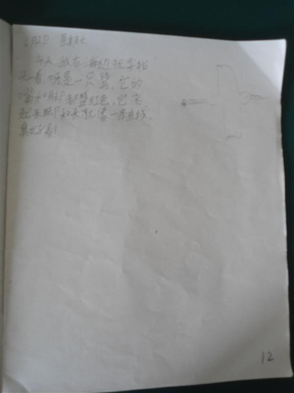 上传的图片