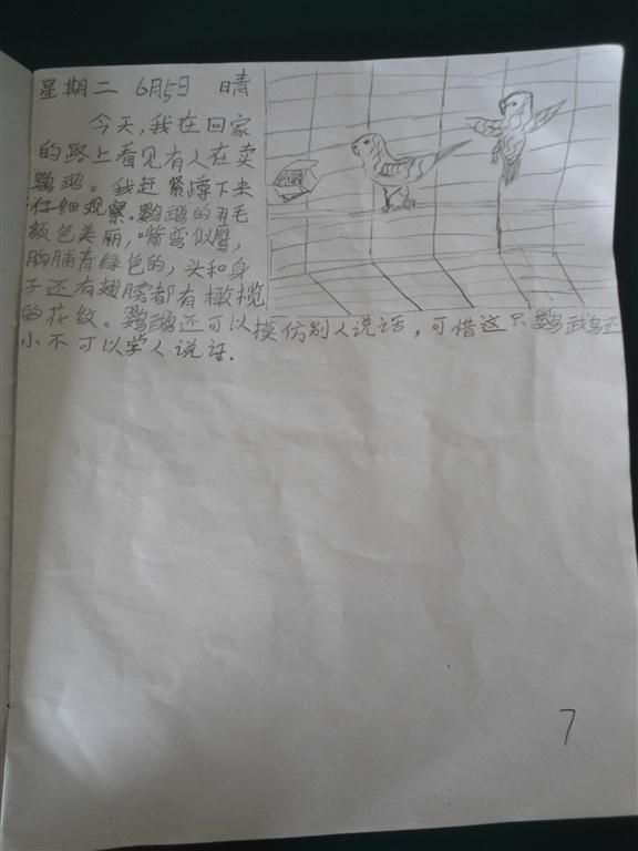 上传的图片