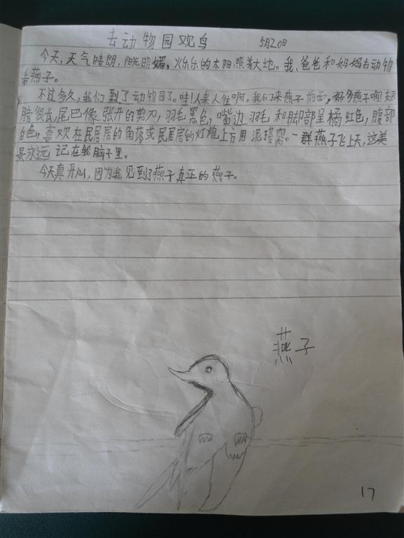 上传的图片