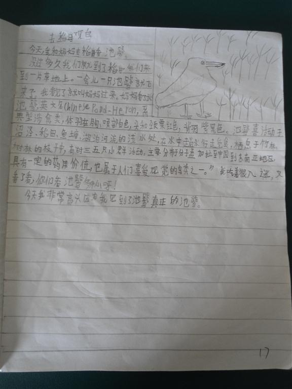 上传的图片
