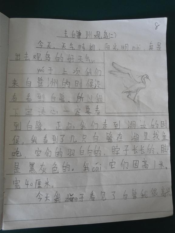 上传的图片