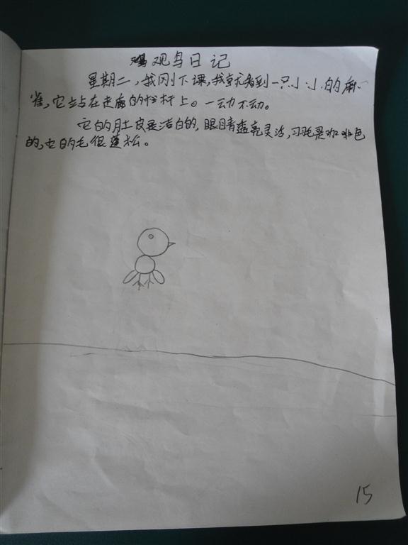 上传的图片