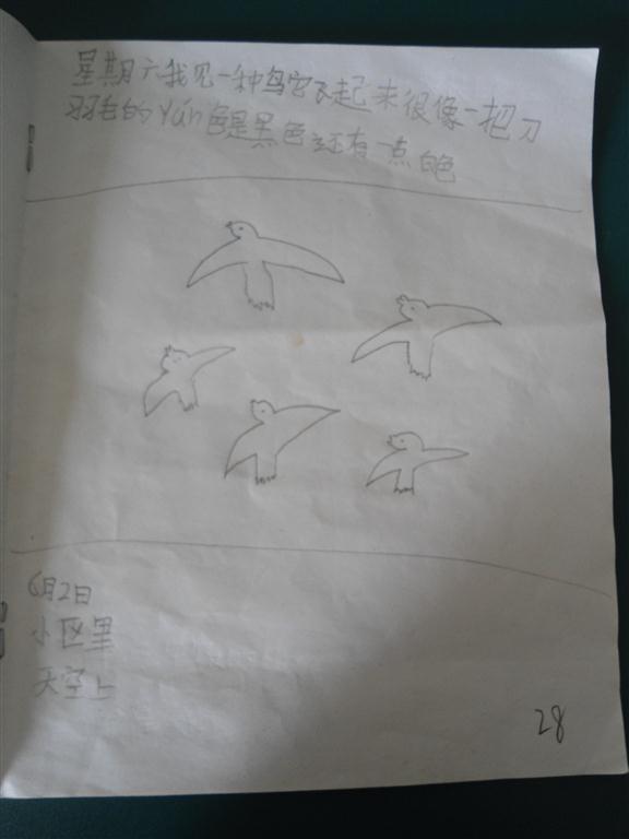 上传的图片