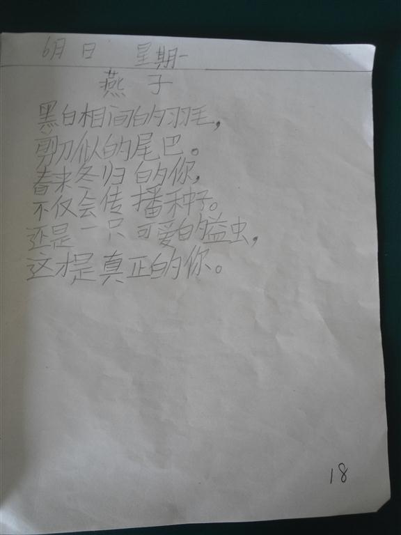 上传的图片