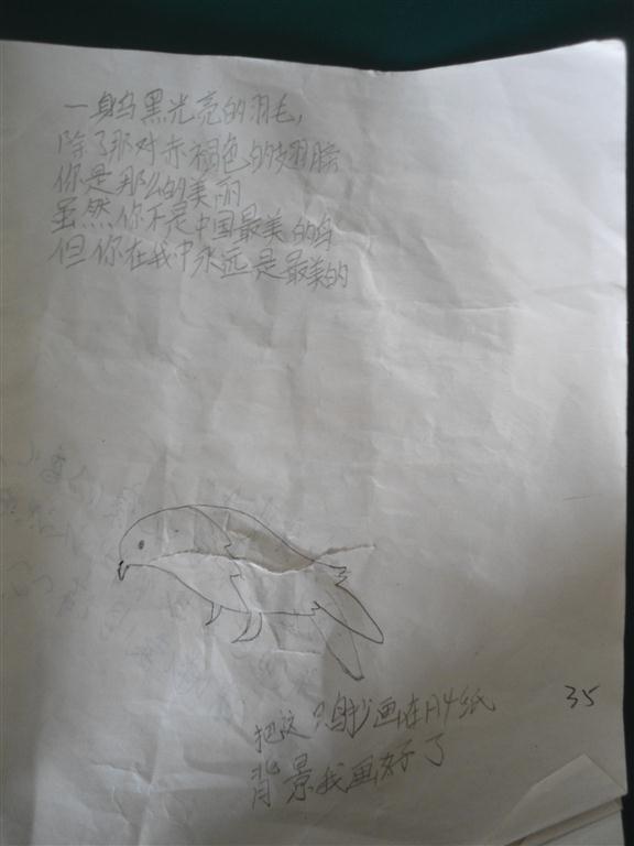 上传的图片