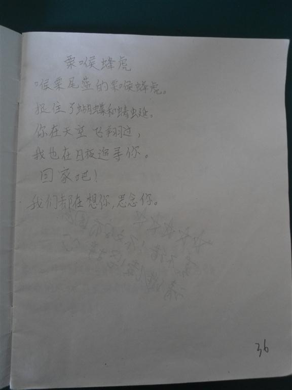 上传的图片