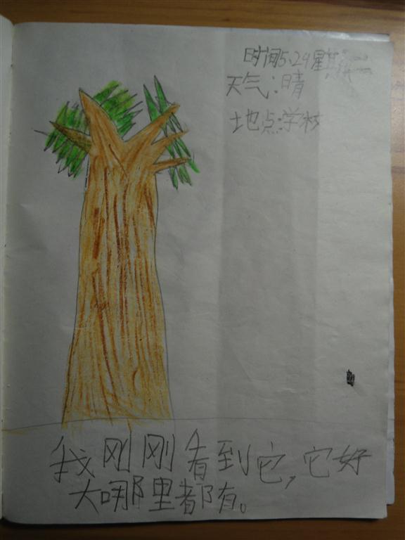 上传的图片