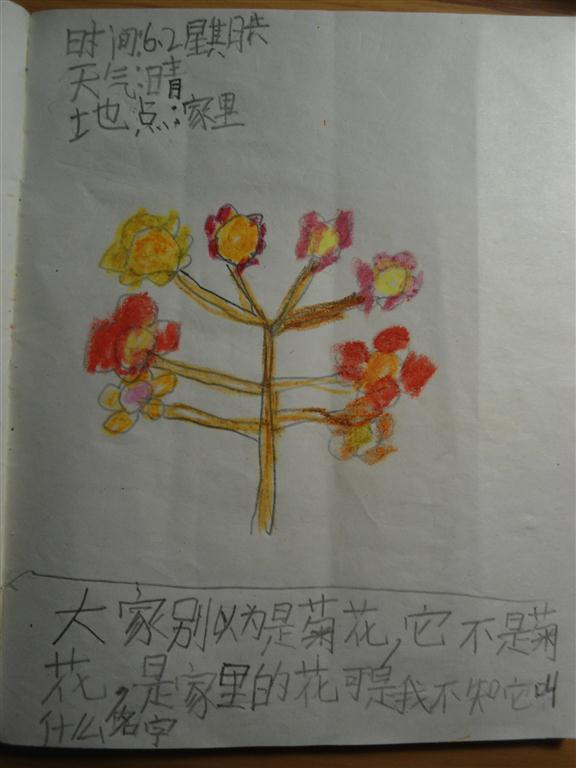 上传的图片