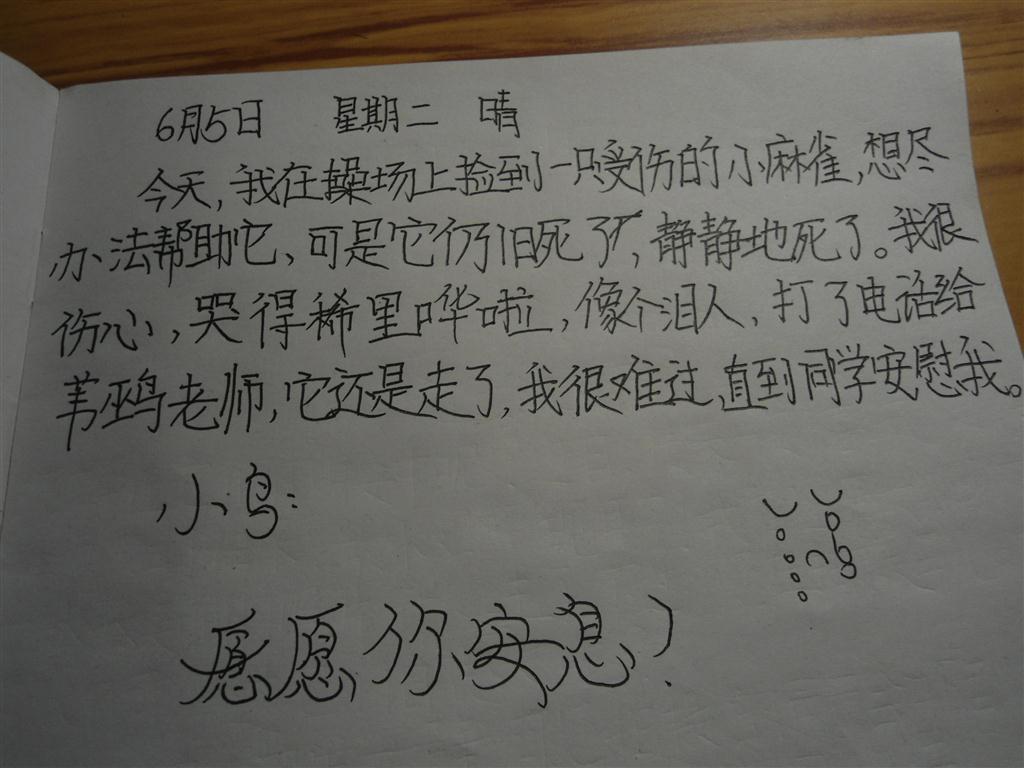 上传的图片