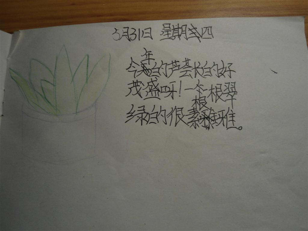 上传的图片