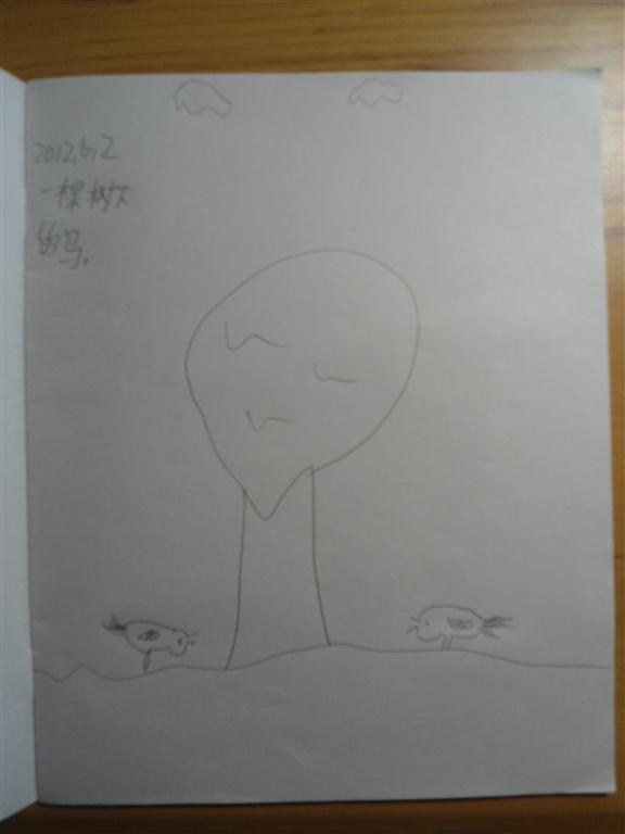 上传的图片