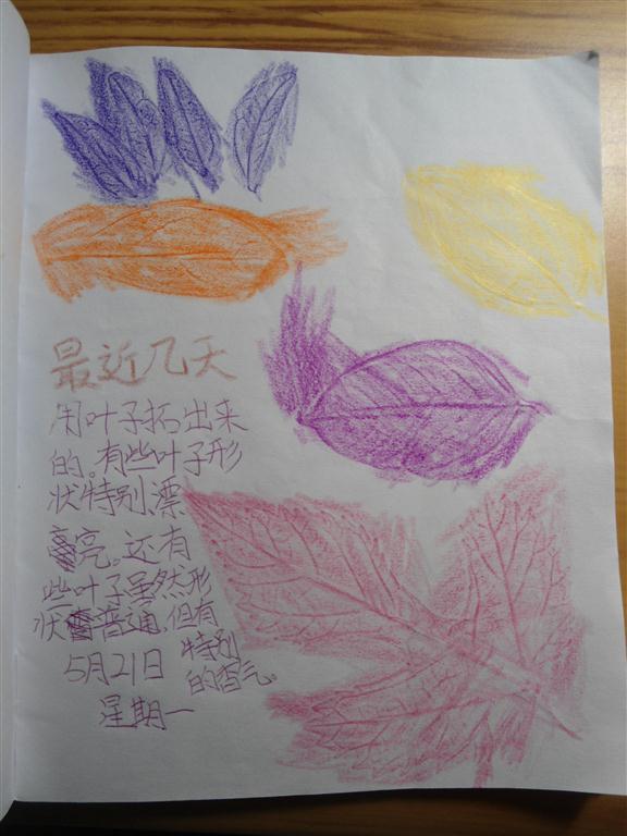 上传的图片