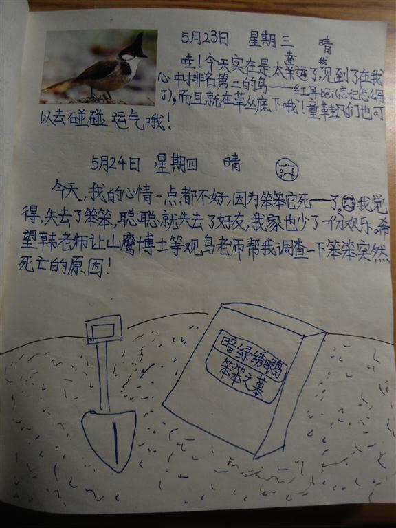 上传的图片