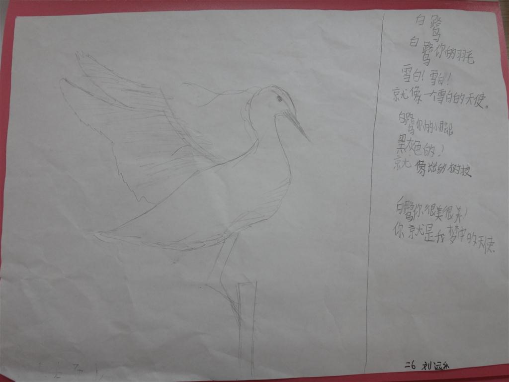 上传的图片