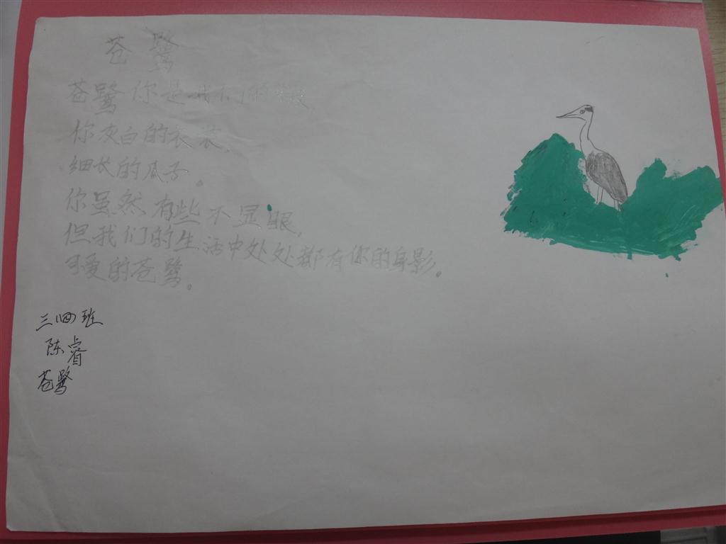 上传的图片