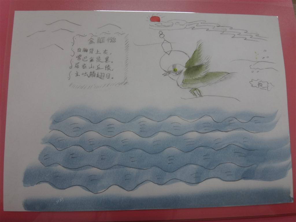上传的图片