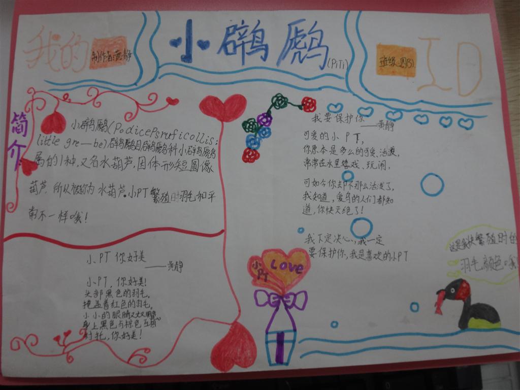 上传的图片