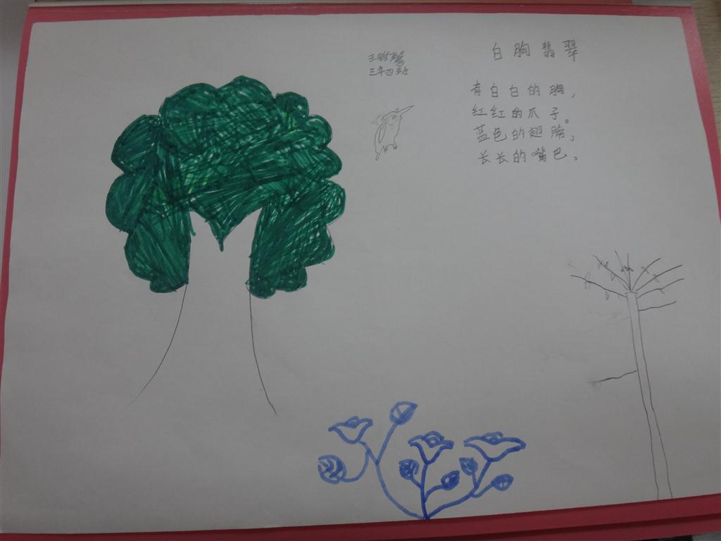 上传的图片