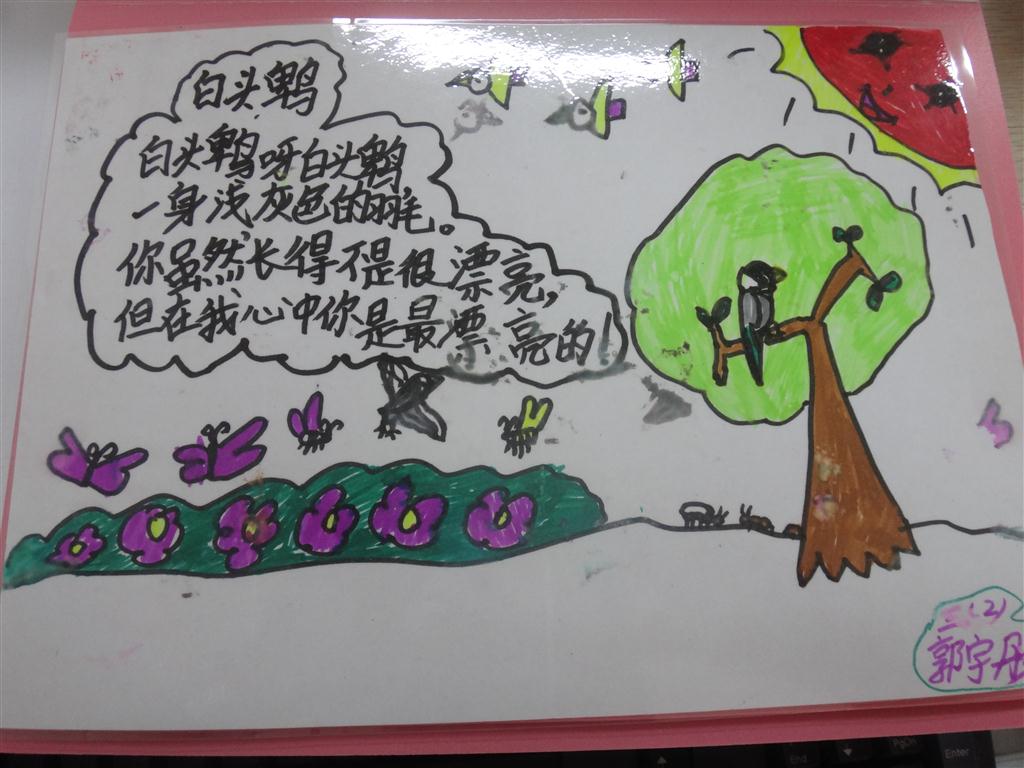 上传的图片