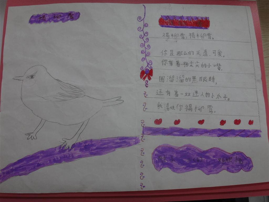 上传的图片