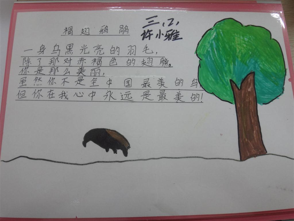 上传的图片