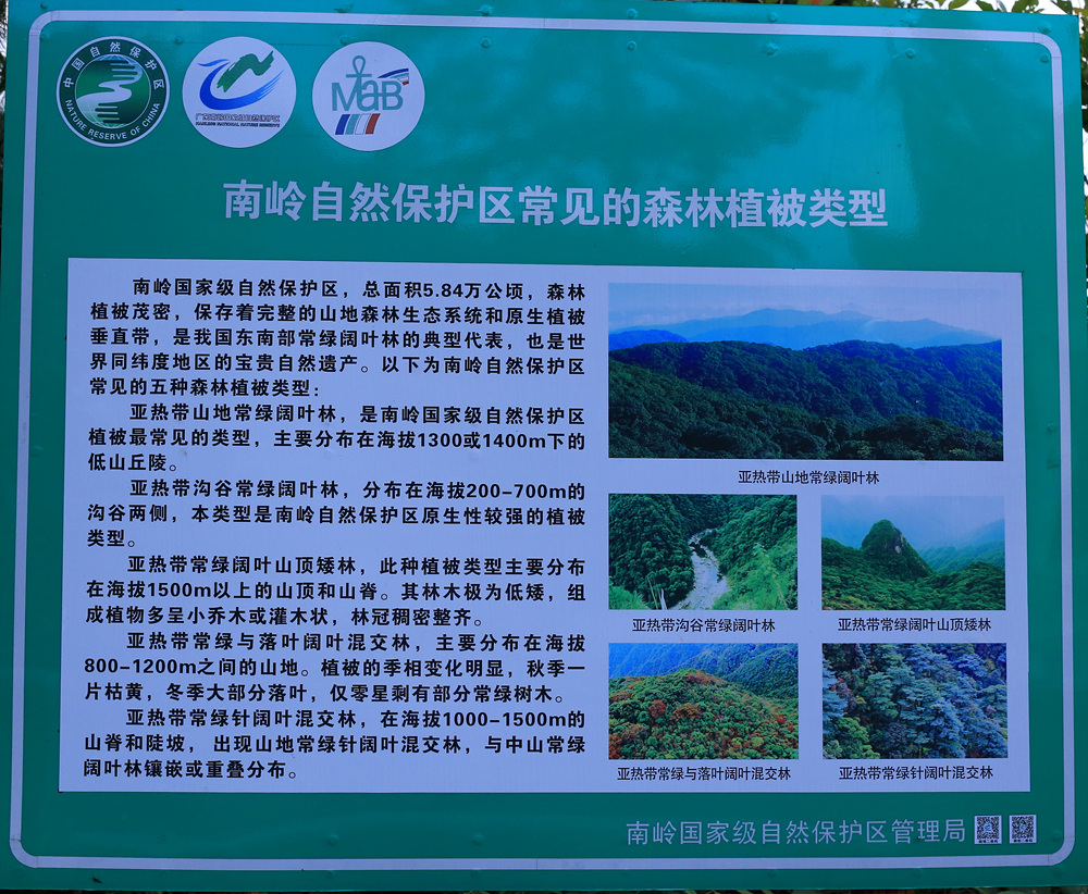 上传的图片