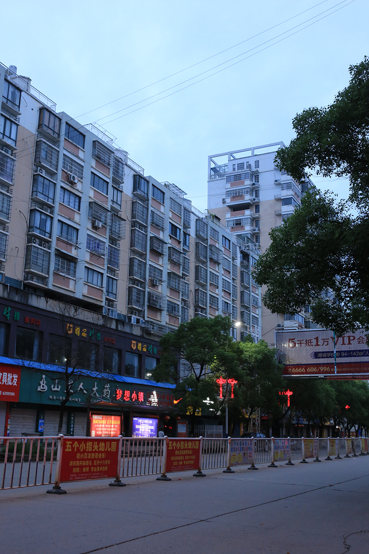 上传的图片