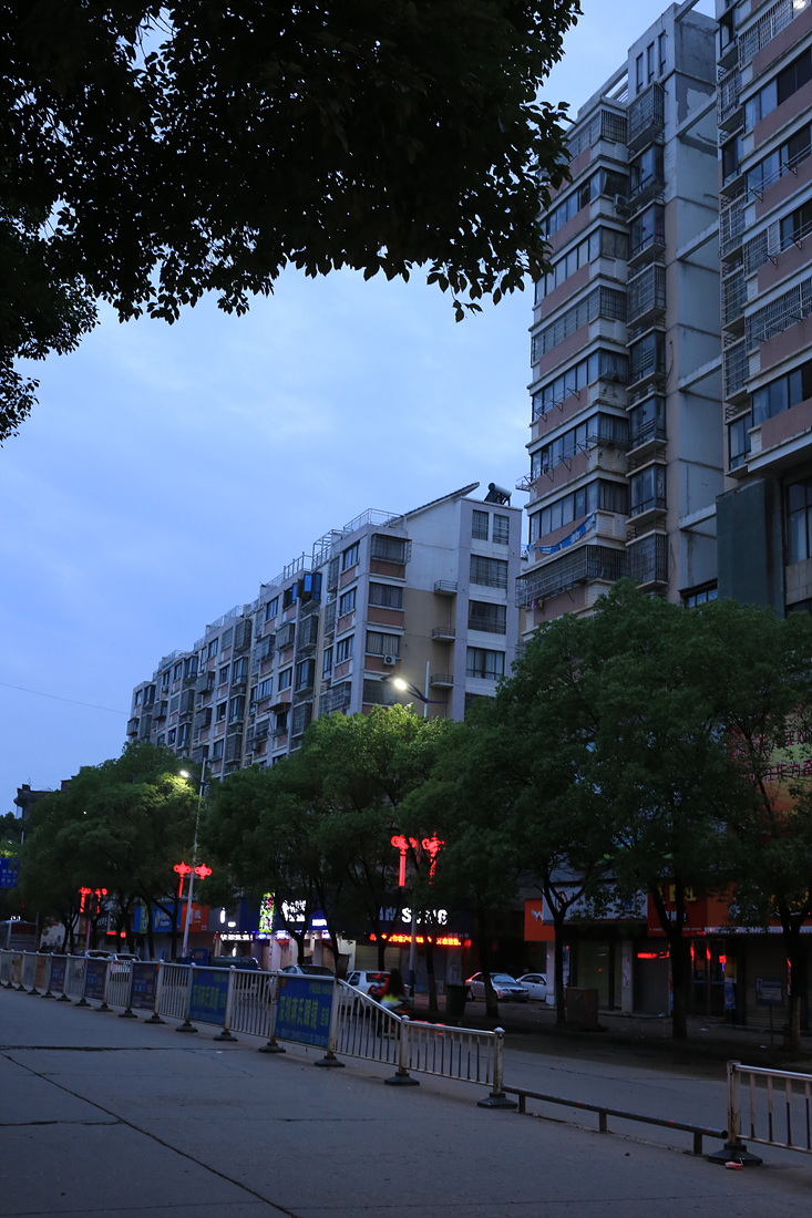 上传的图片