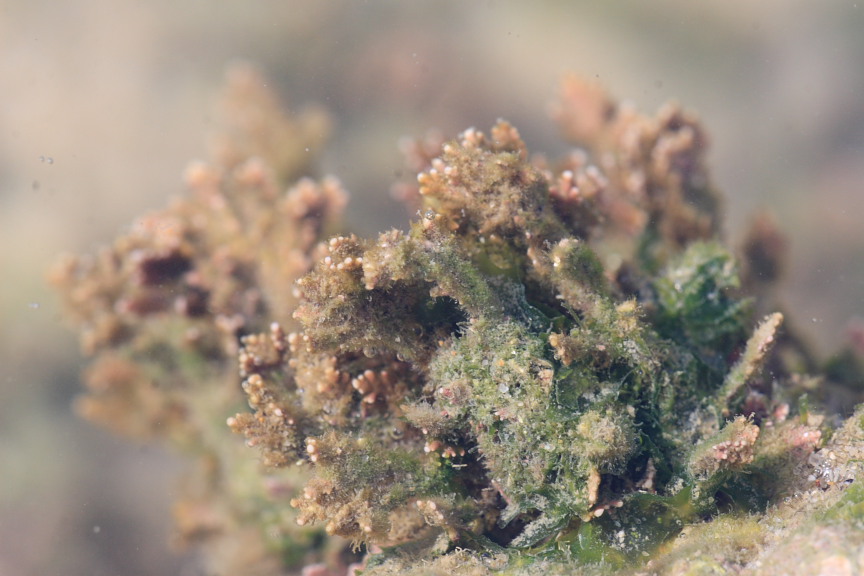 上传的图片