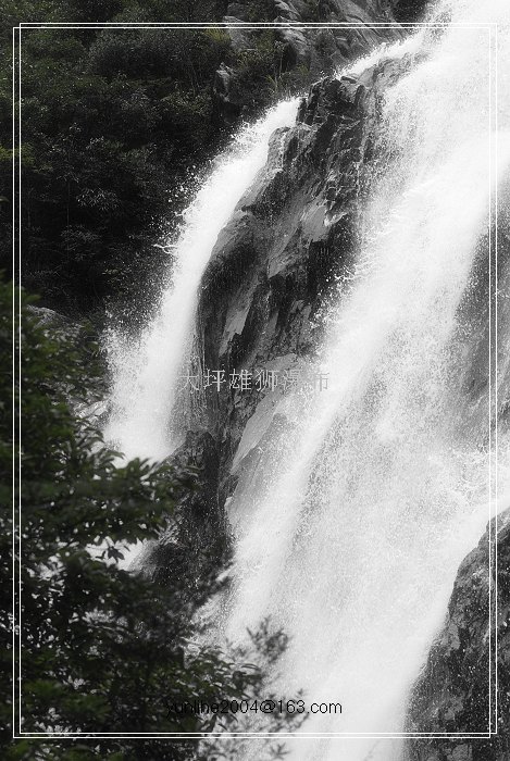 上传的图片
