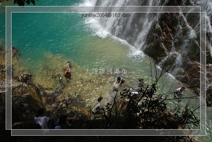 上传的图片
