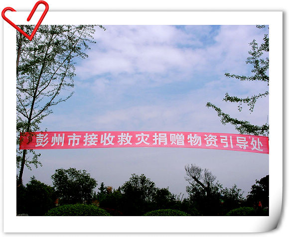 上传的图片