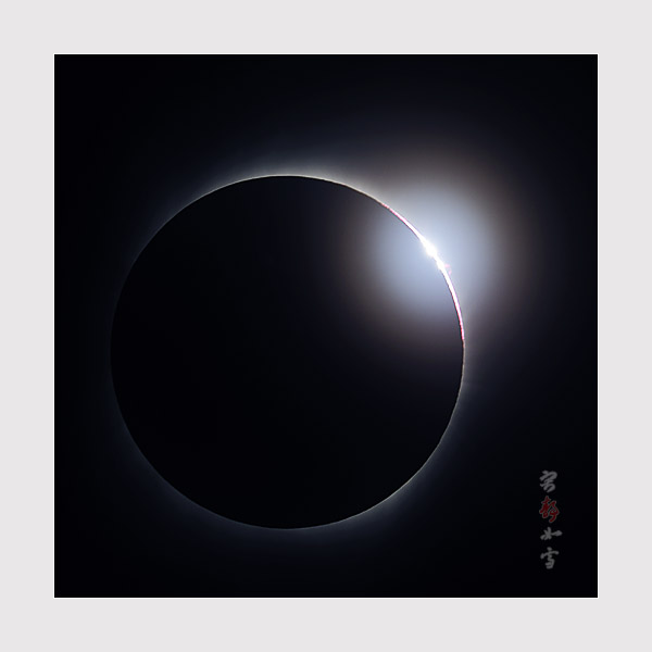 上传的图片