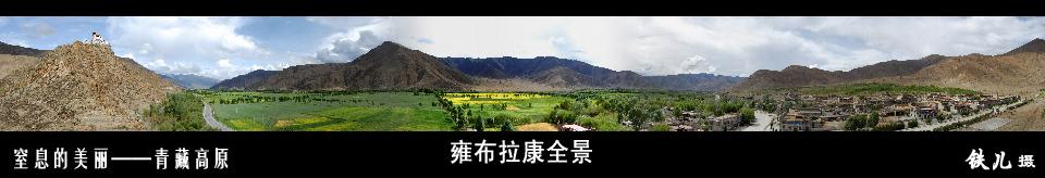 上传的图片