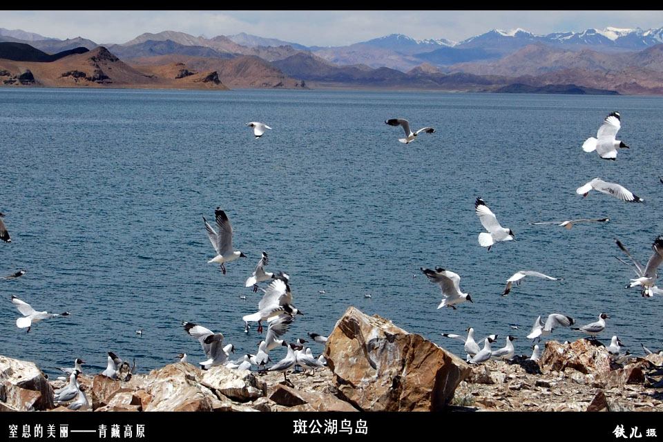 上传的图片