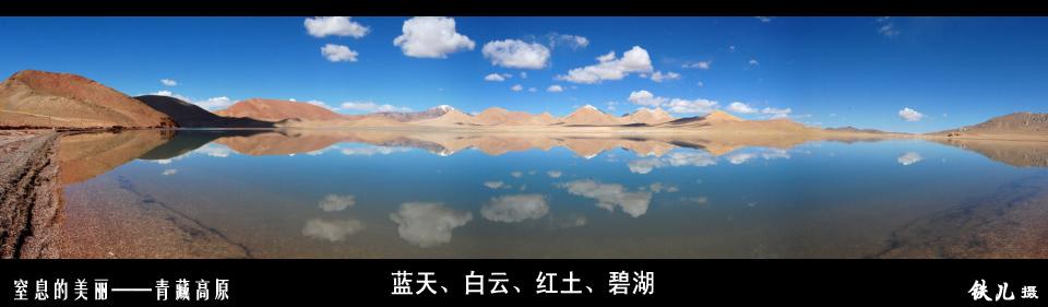 上传的图片